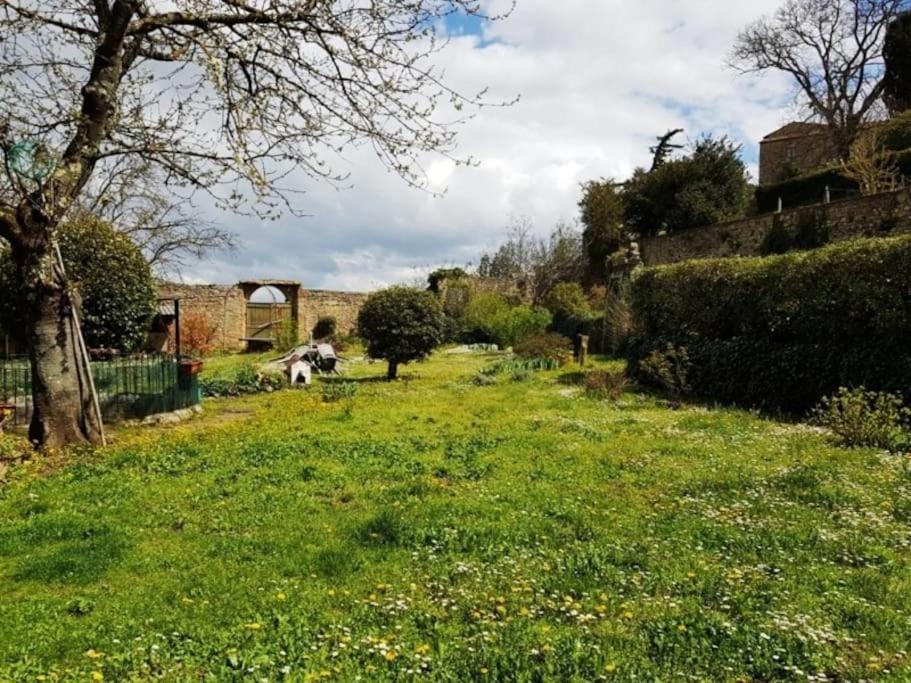 Volaterrae Deluxe Loft With Garden Lejlighed Volterra Eksteriør billede